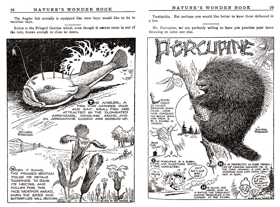 14_Natures_Wonder_Book