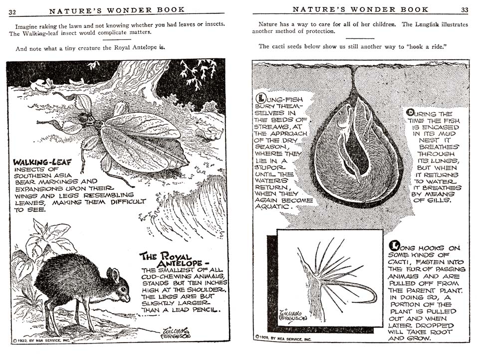 16_Natures_Wonder_Book