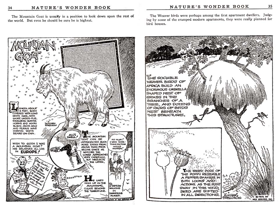 17_Natures_Wonder_Book