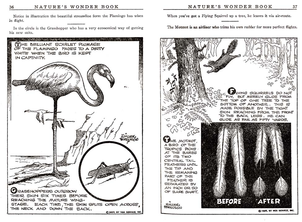 18_Natures_Wonder_Book