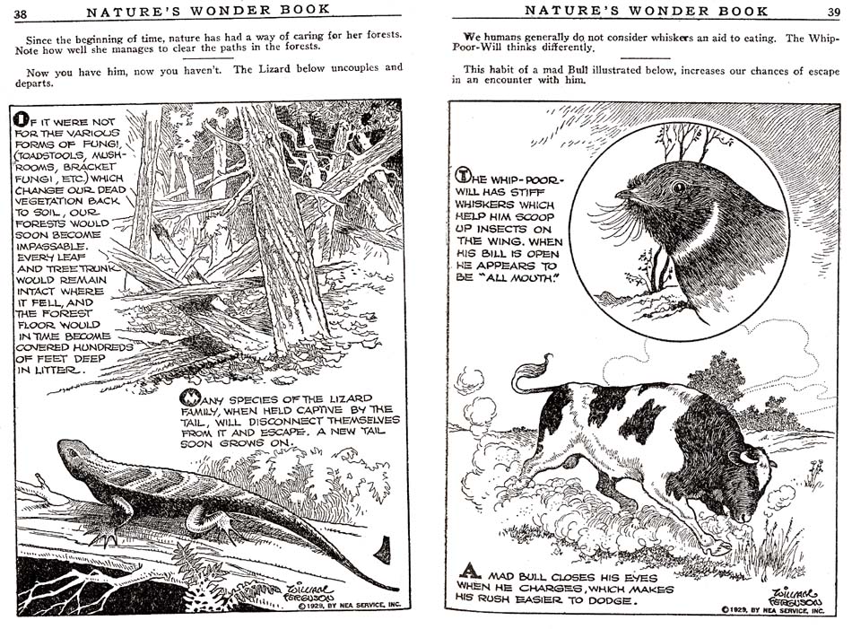 19_Natures_Wonder_Book