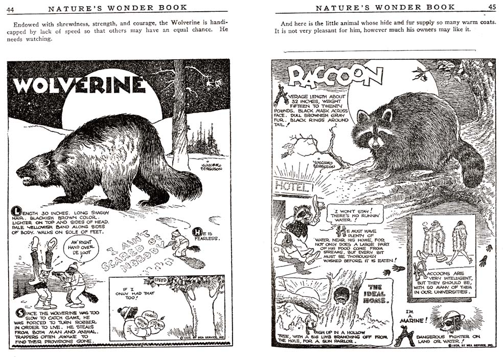 22_Natures_Wonder_Book