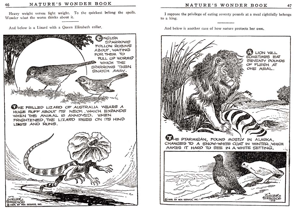 23_Natures_Wonder_Book