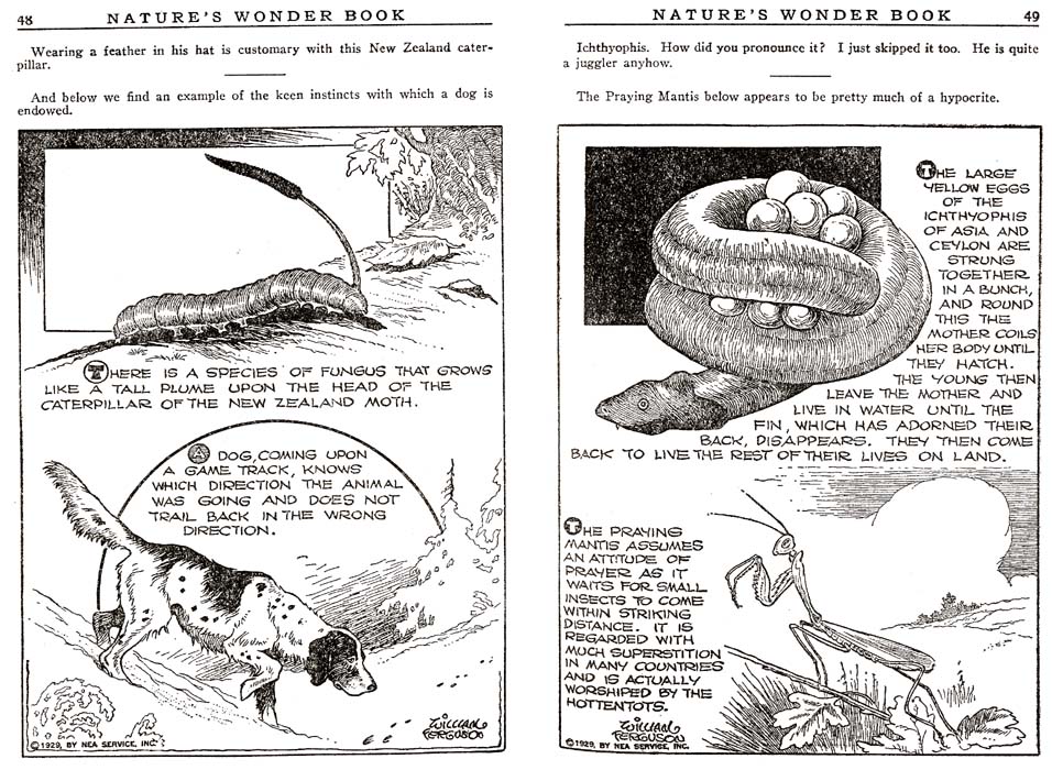 24_Natures_Wonder_Book