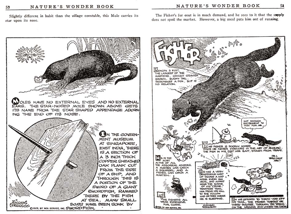 25_Natures_Wonder_Book