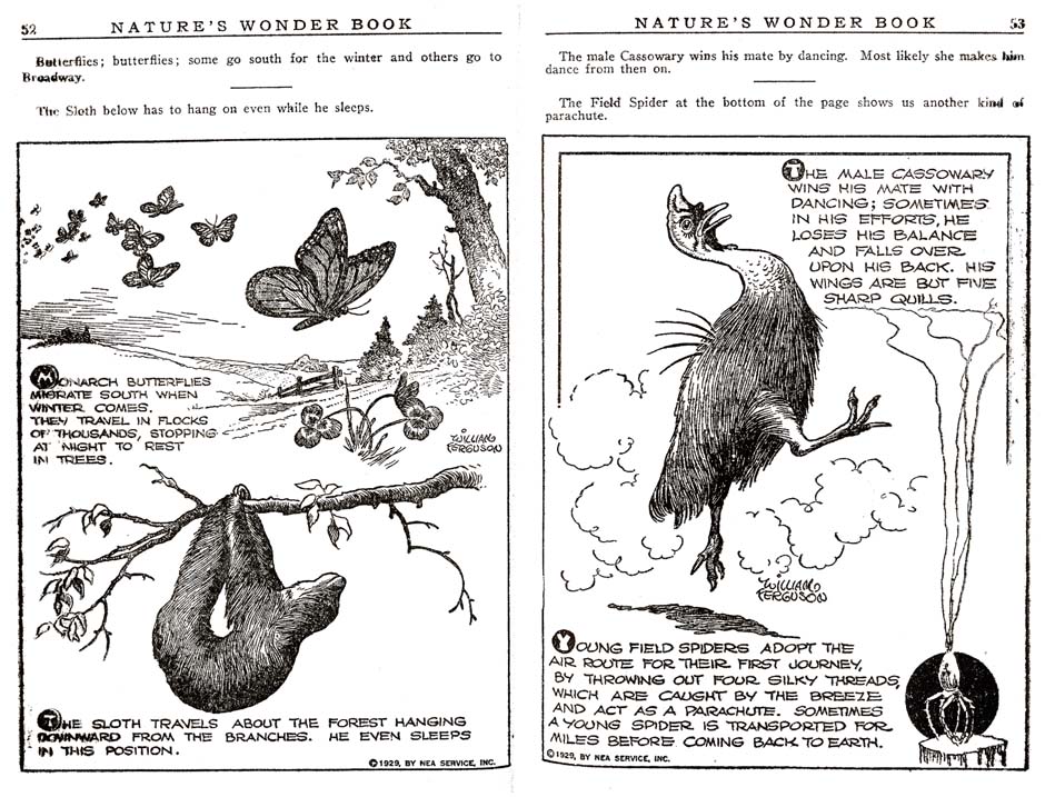 26_Natures_Wonder_Book