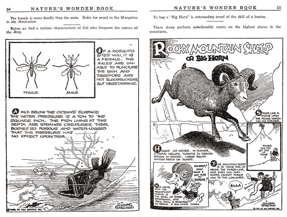 27_Natures_Wonder_Book