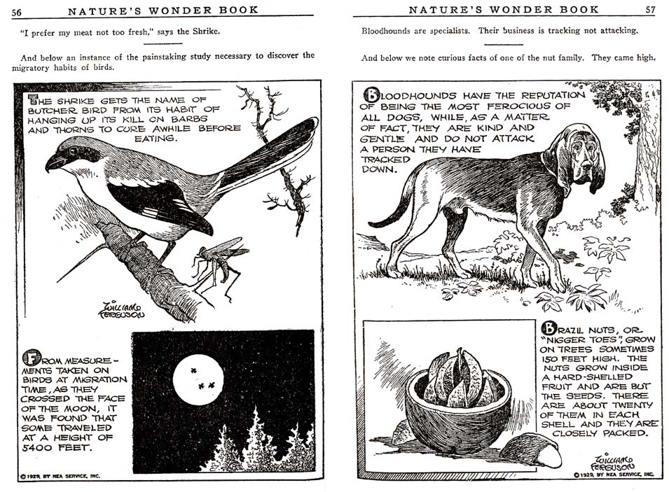 28_Natures_Wonder_Book