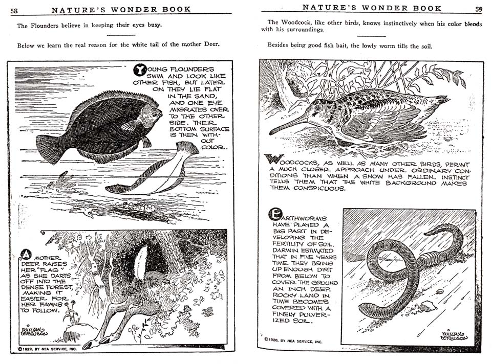 29_Natures_Wonder_Book