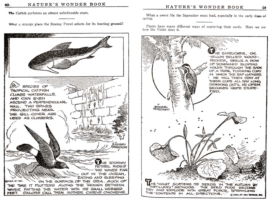 30_Natures_Wonder_Book