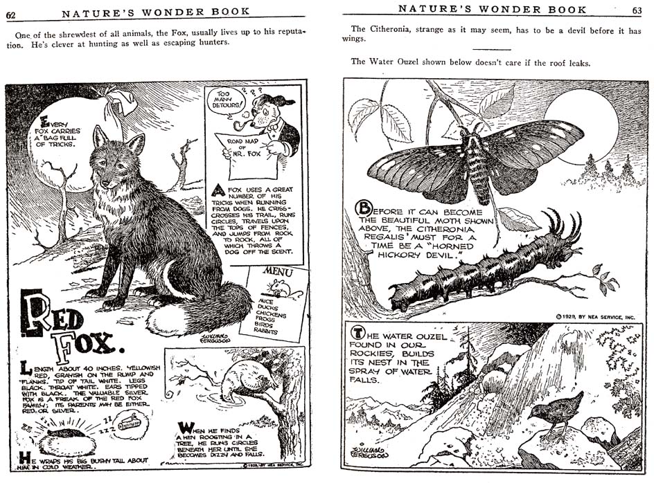 31_Natures_Wonder_Book