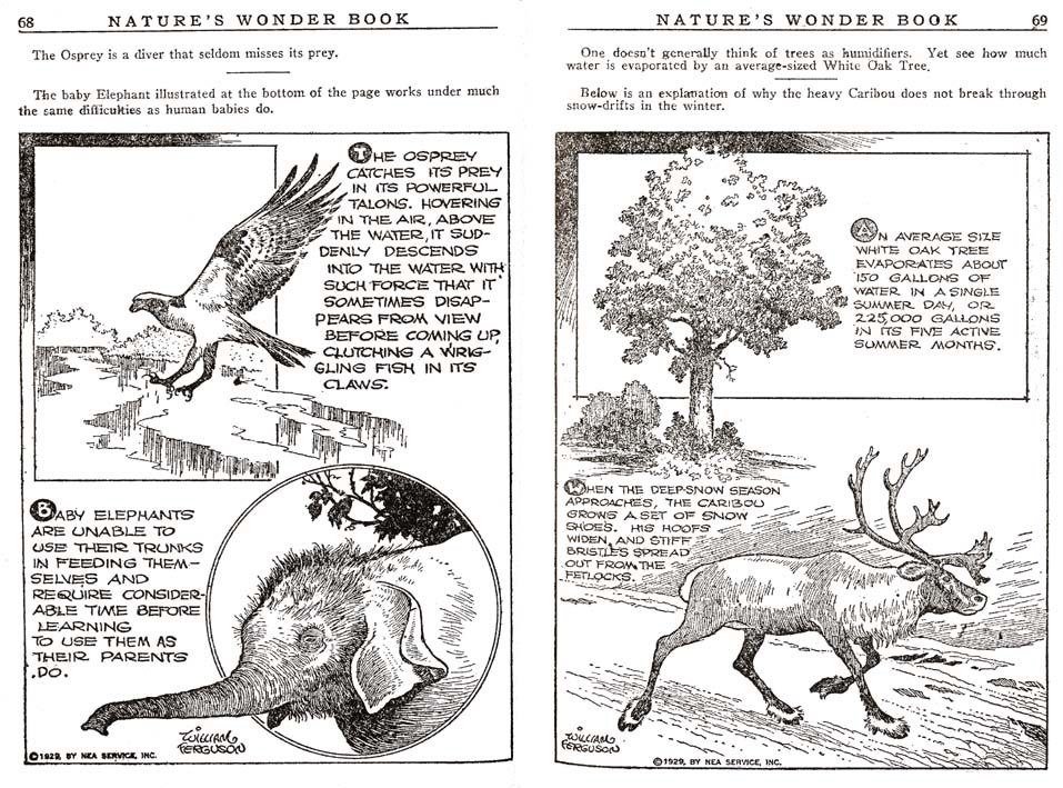 34_Natures_Wonder_Book