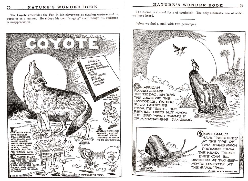 35_Natures_Wonder_Book