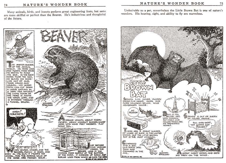 37_Natures_Wonder_Book