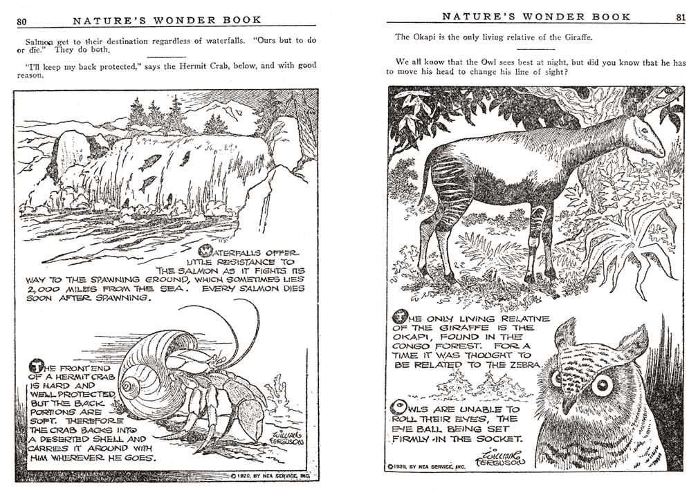 40_Natures_Wonder_Book