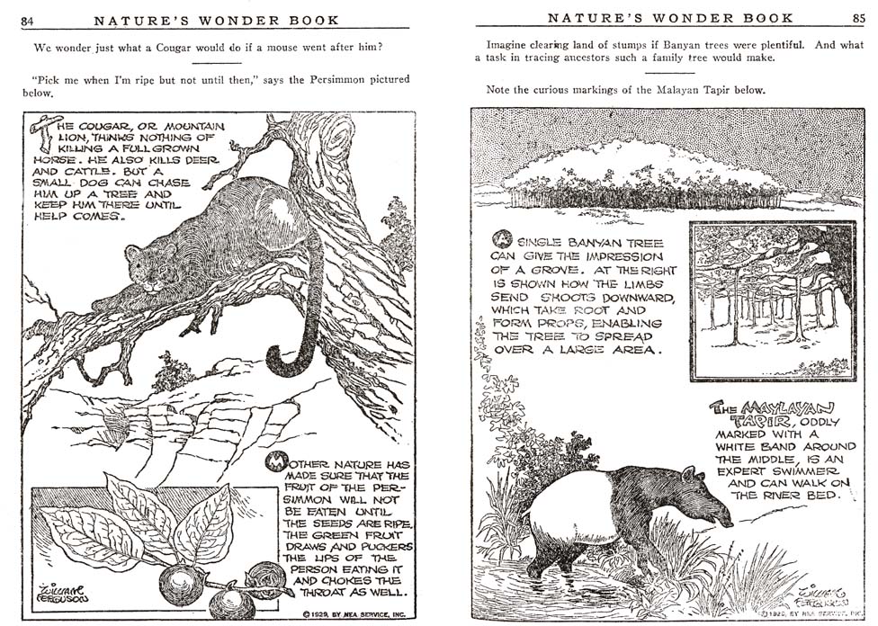 42_Natures_Wonder_Book