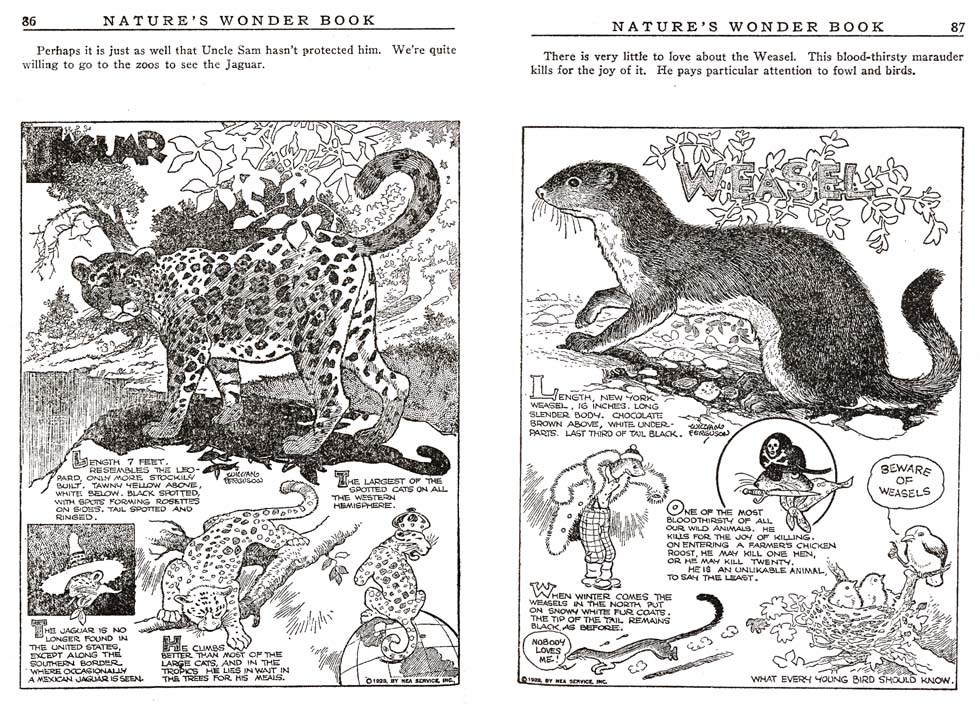 43_Natures_Wonder_Book