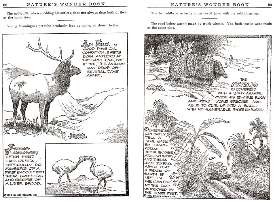 44_Natures_Wonder_Book