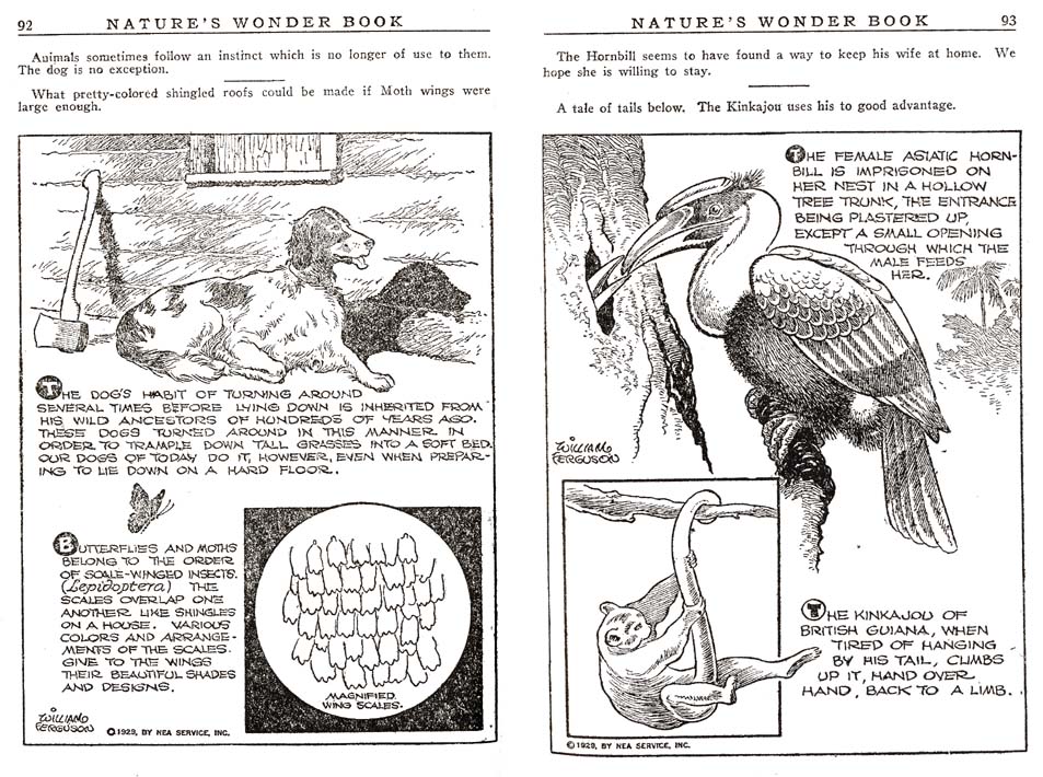 46_Natures_Wonder_Book