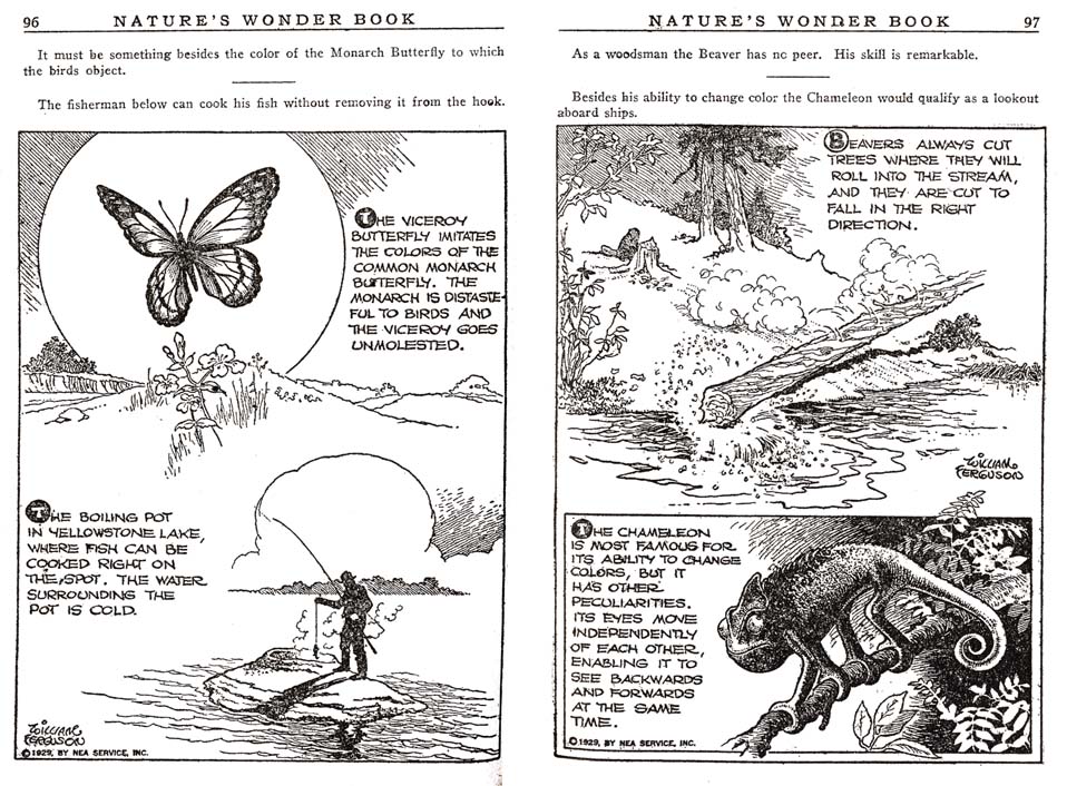 48_Natures_Wonder_Book