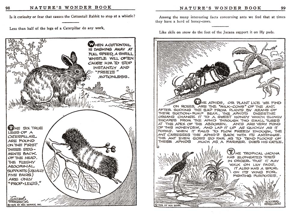 49_Natures_Wonder_Book