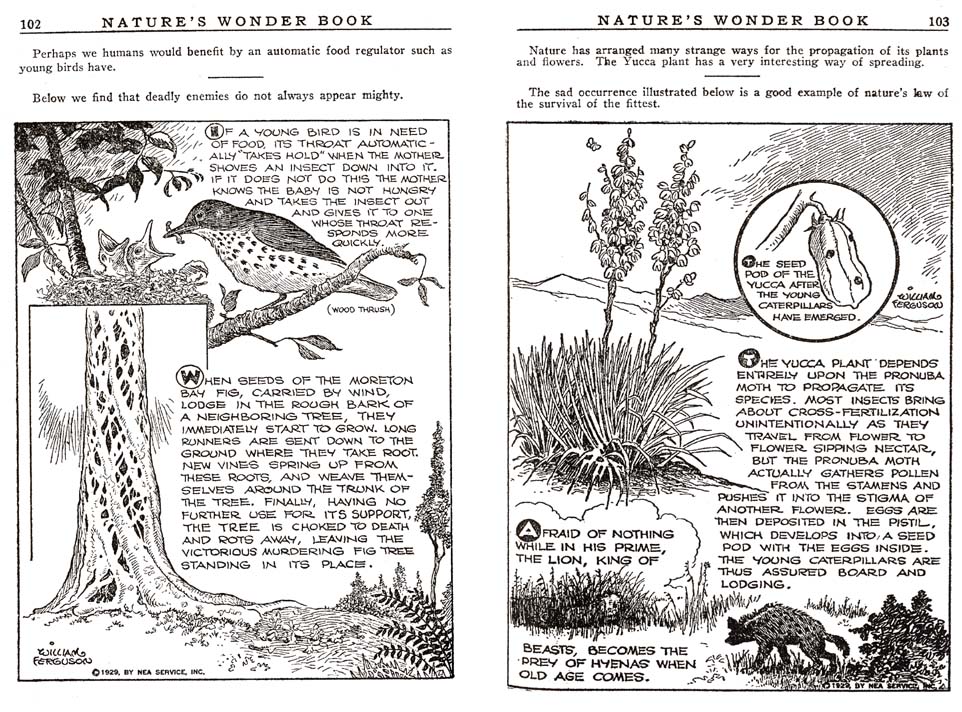 51_Natures_Wonder_Book