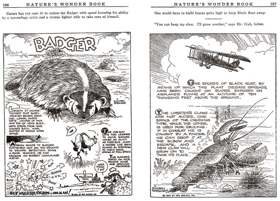 53_Natures_Wonder_Book