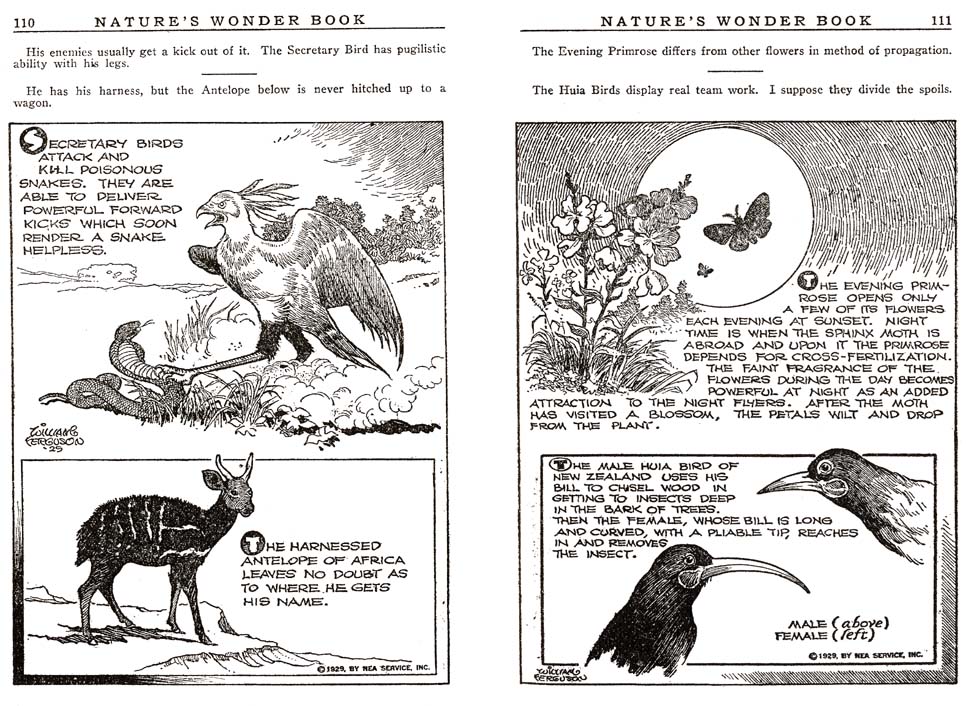 55_Natures_Wonder_Book