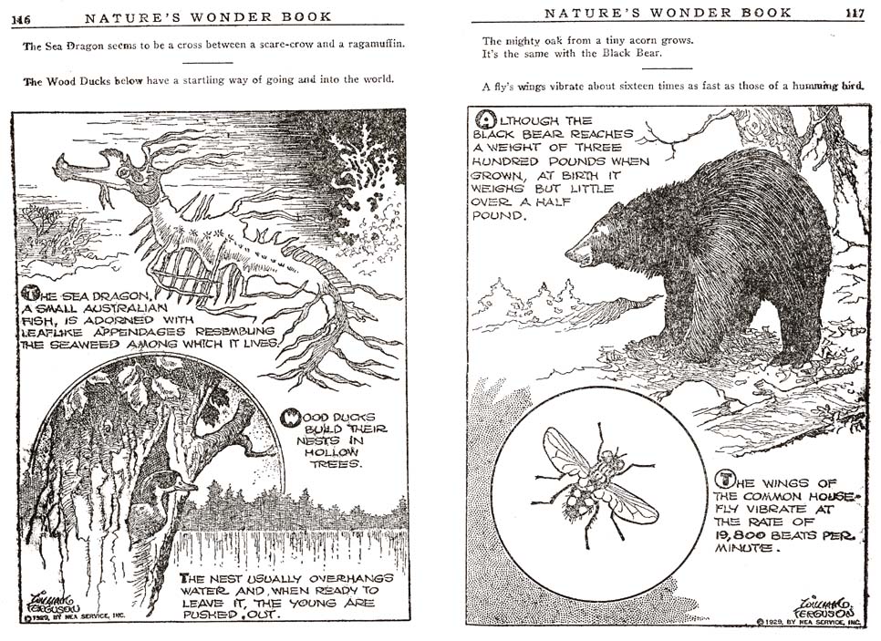 58_Natures_Wonder_Book