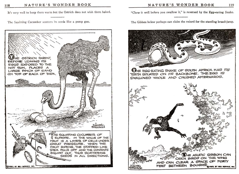 59_Natures_Wonder_Book