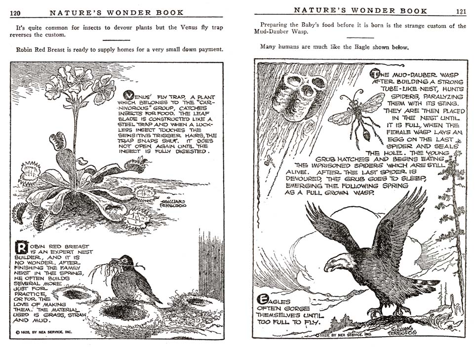 60_Natures_Wonder_Book