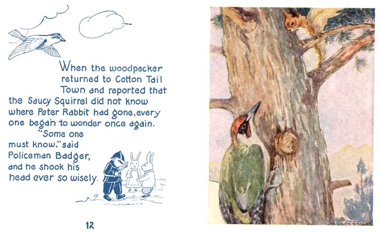 09_New_Story_of_Peter_Rabbit