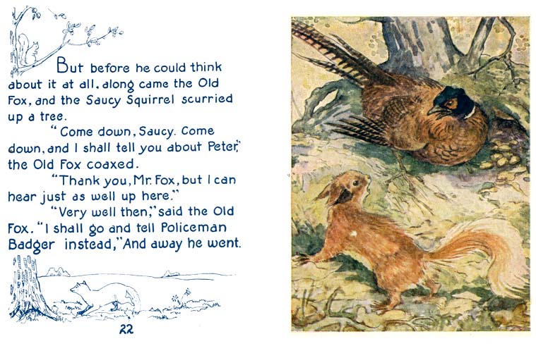 14_New_Story_of_Peter_Rabbit