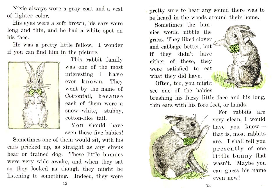 09_Nixie_Bunny_in_Manners-Land