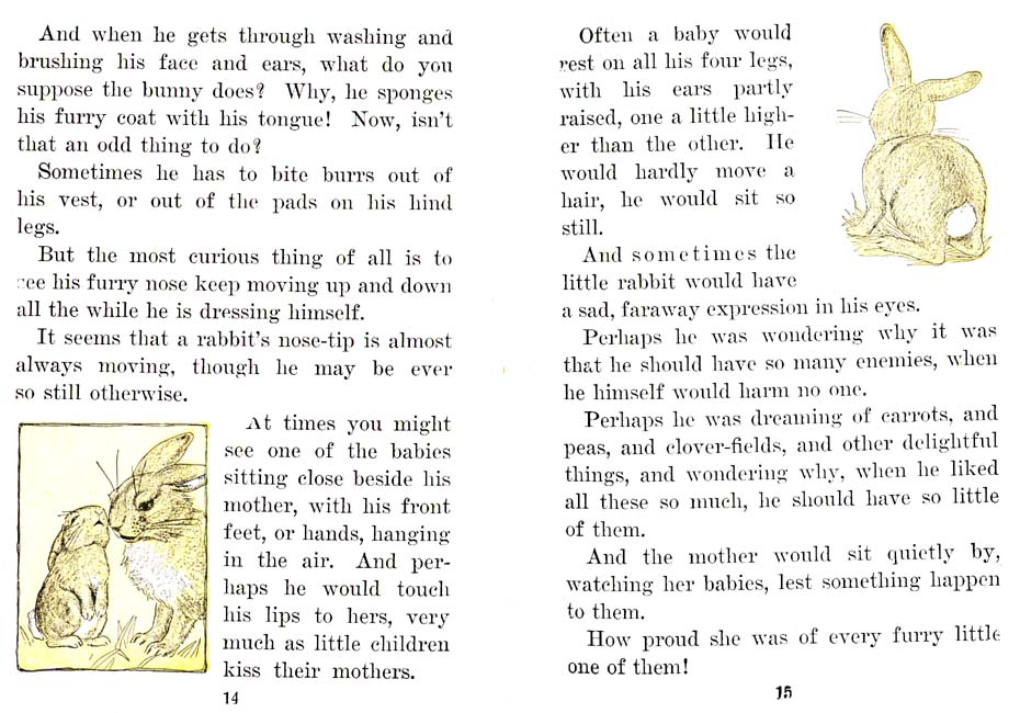 10_Nixie_Bunny_in_Manners-Land