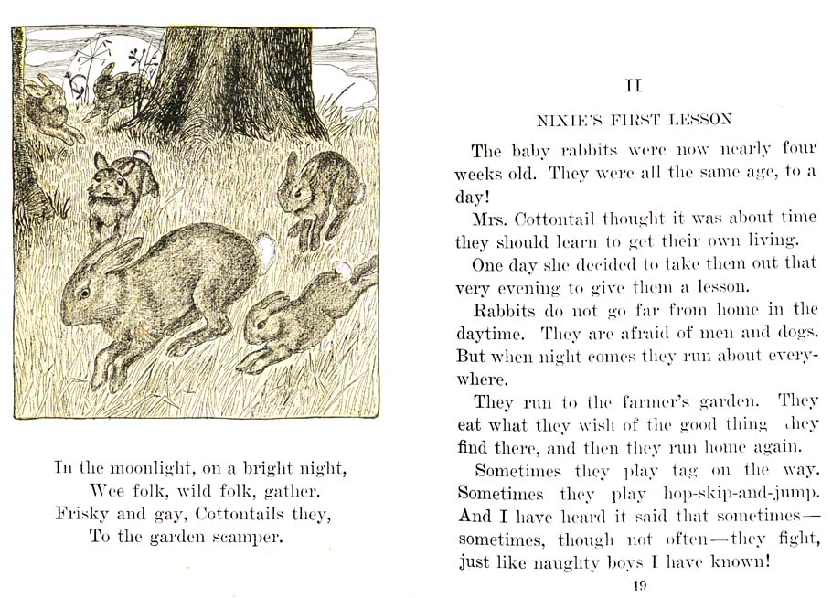 12_Nixie_Bunny_in_Manners-Land