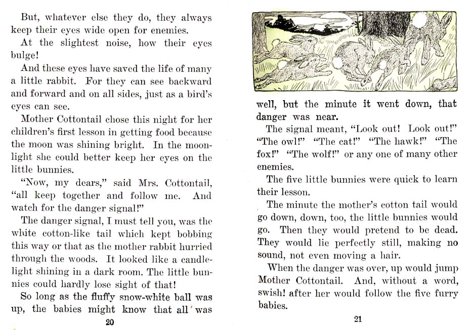 13_Nixie_Bunny_in_Manners-Land