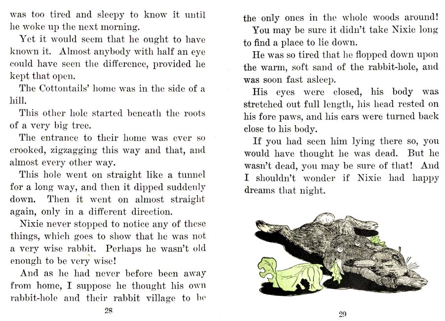 17_Nixie_Bunny_in_Manners-Land