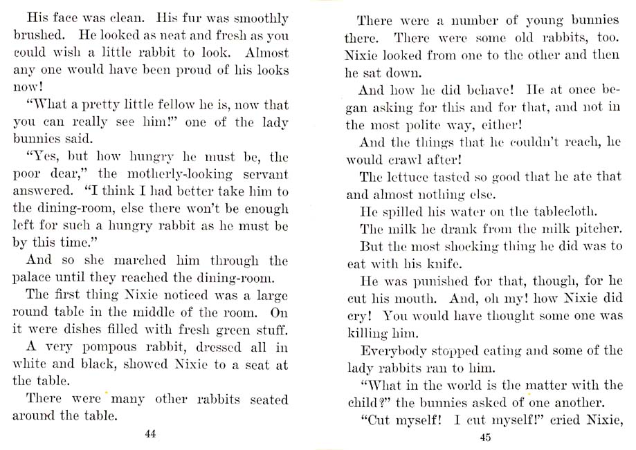 25_Nixie_Bunny_in_Manners-Land