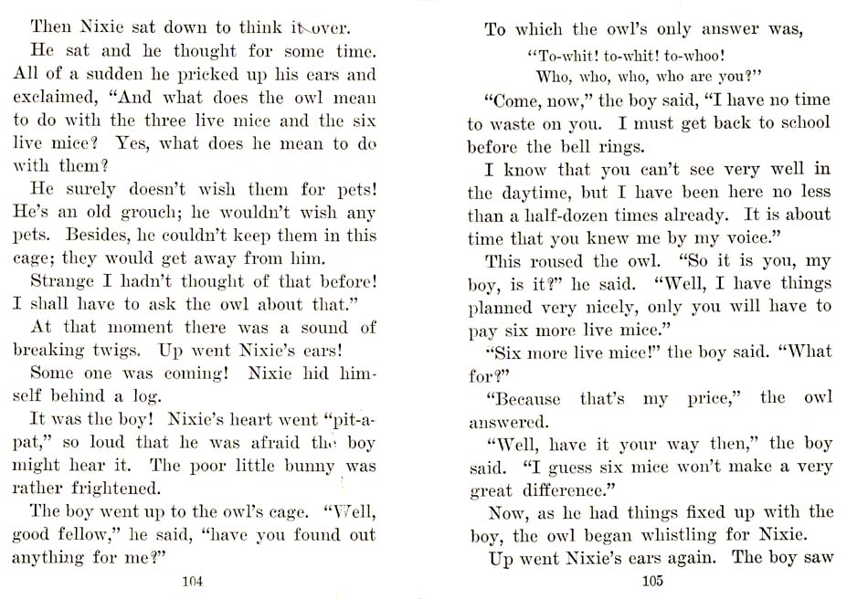 55_Nixie_Bunny_in_Manners-Land