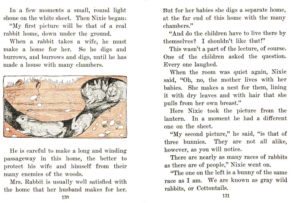 68_Nixie_Bunny_in_Manners-Land