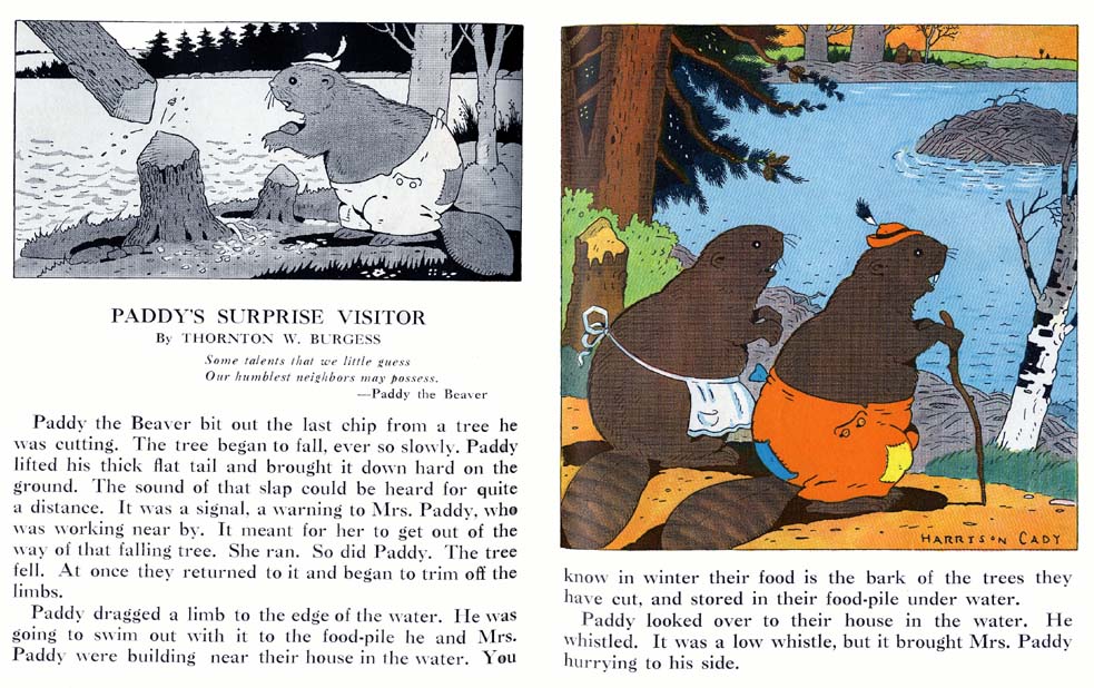 02_Paddys_Surprise_Visitor