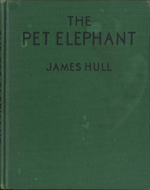 01_The_Pet_Elephant