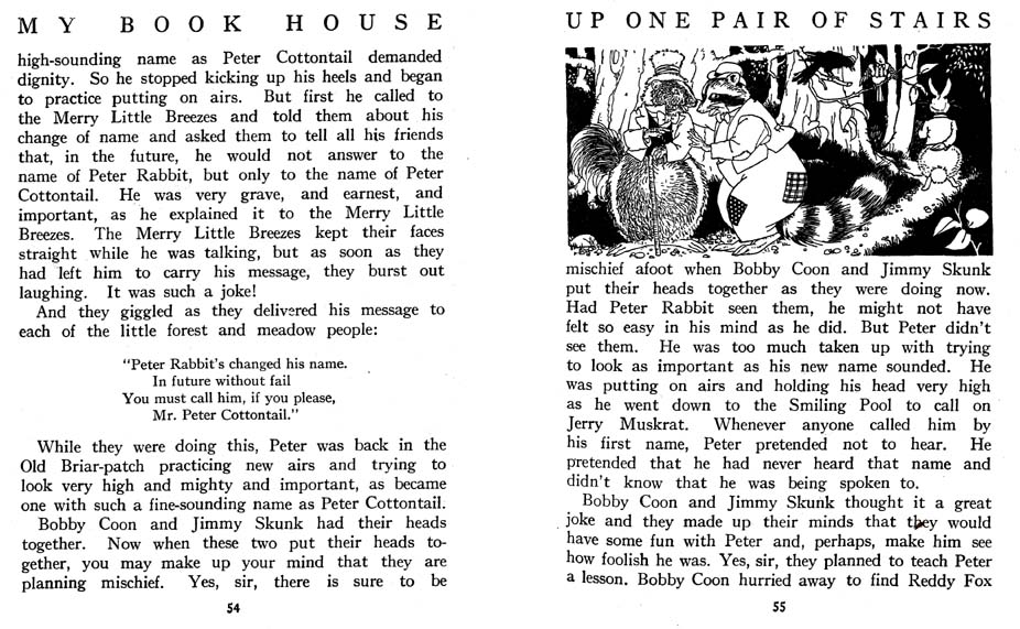 04_Peter_Rabbit_Decides_to_Change_his_Name