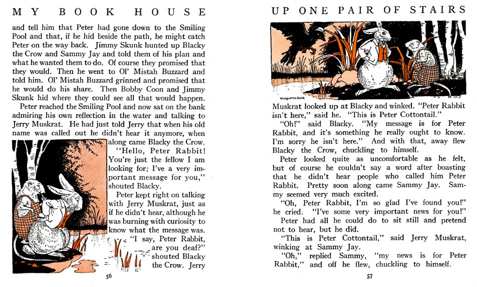 05_Peter_Rabbit_Decides_to_Change_his_Name