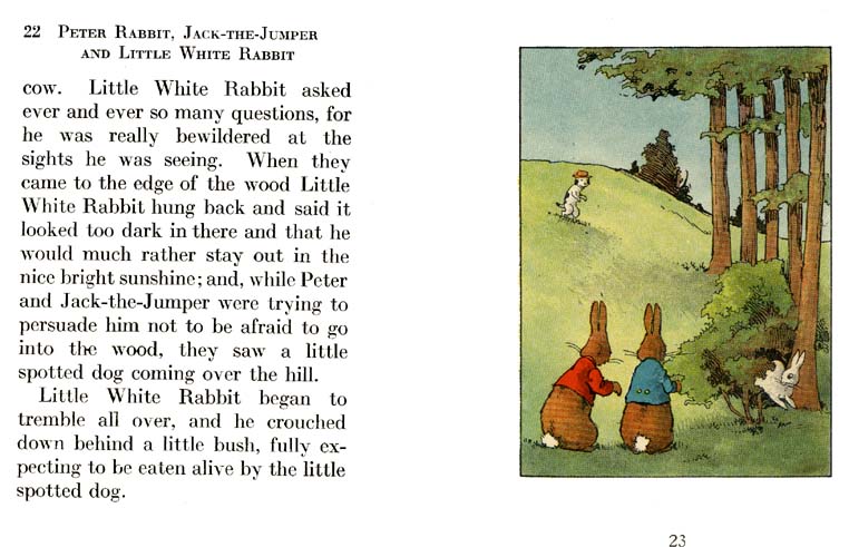 12_Peter_Rabbit_and_Little_White_Rabbit