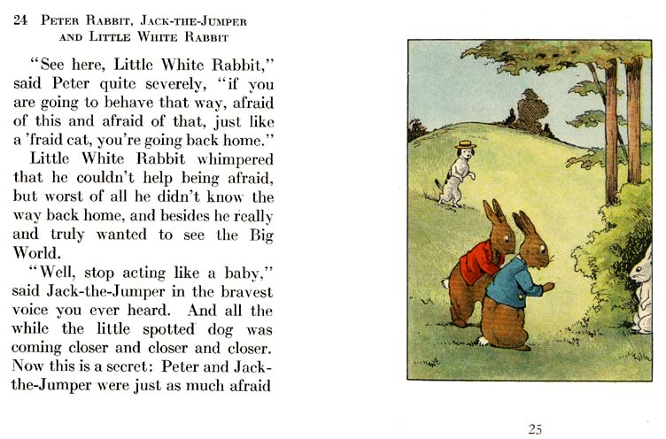 13_Peter_Rabbit_and_Little_White_Rabbit