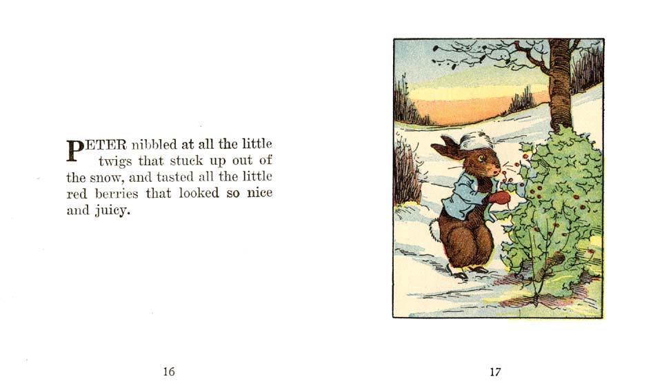 09_Peter_Rabbit_Christmas
