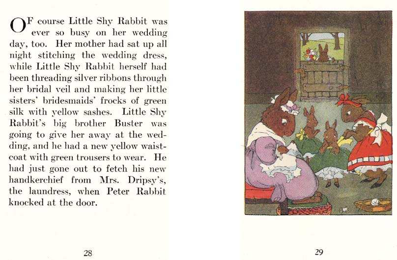16_Peter_Rabbits_Wedding