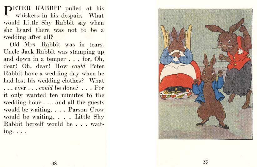 21_Peter_Rabbits_Wedding